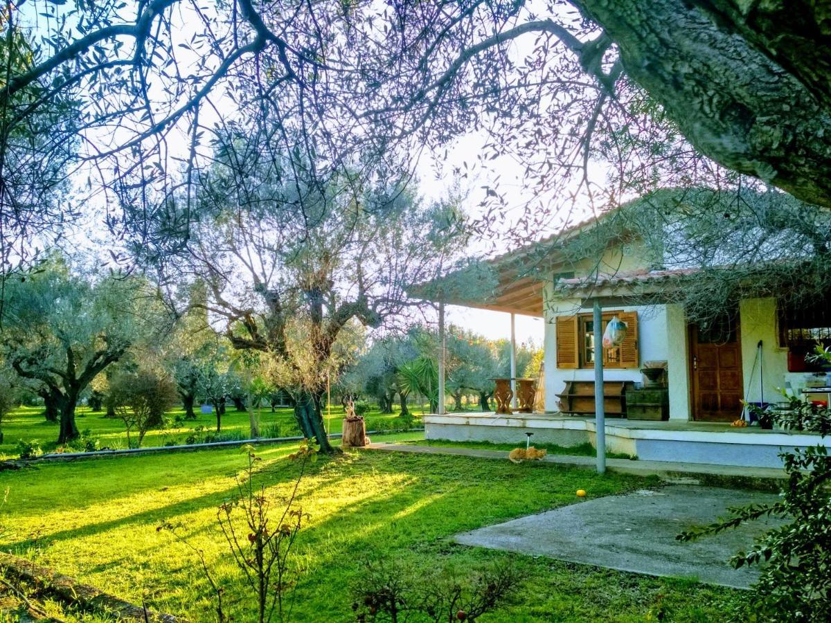 Nafpaktos Cottage By The Sea For Travelers And Dreamers! Exterior photo