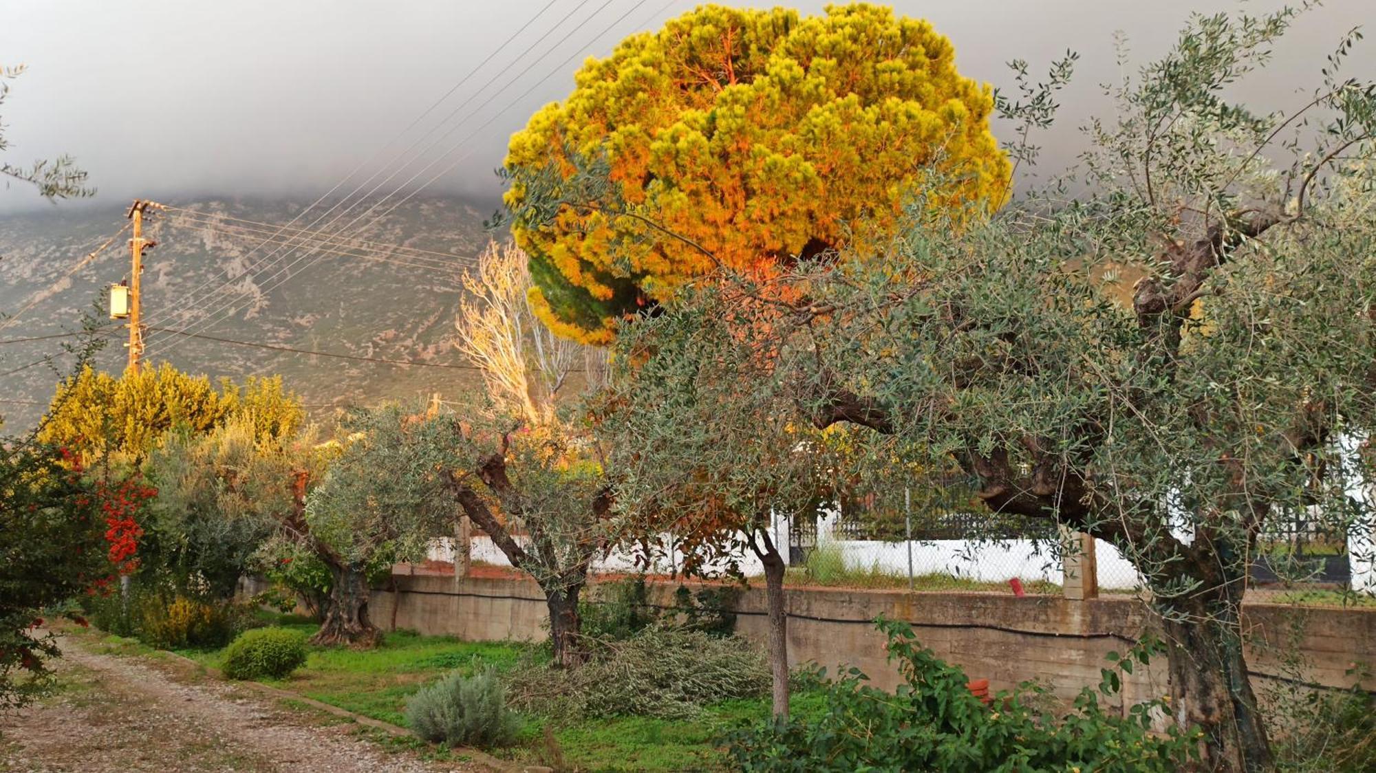 Nafpaktos Cottage By The Sea For Travelers And Dreamers! Exterior photo