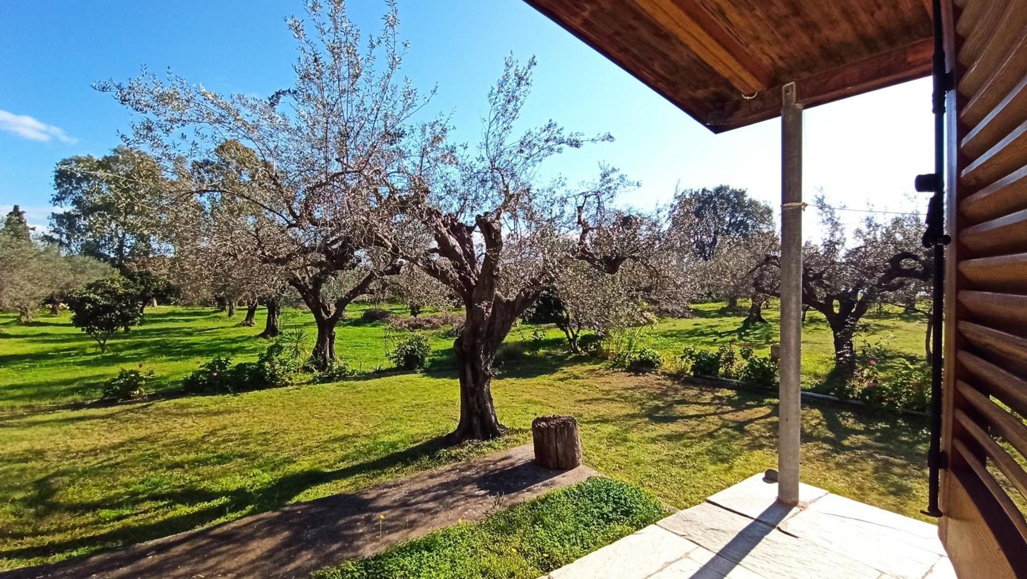 Nafpaktos Cottage By The Sea For Travelers And Dreamers! Exterior photo