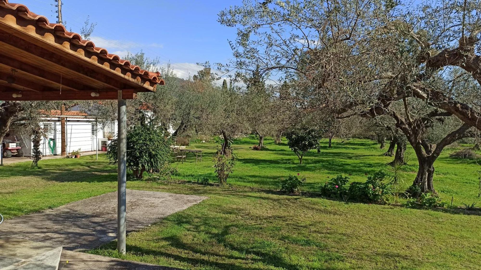 Nafpaktos Cottage By The Sea For Travelers And Dreamers! Exterior photo